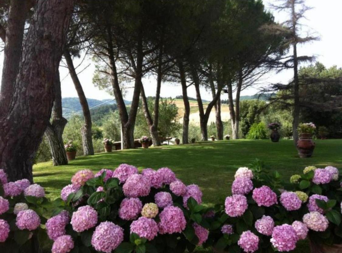 Agriturismo Le Querciole Casciana Terme Dış mekan fotoğraf